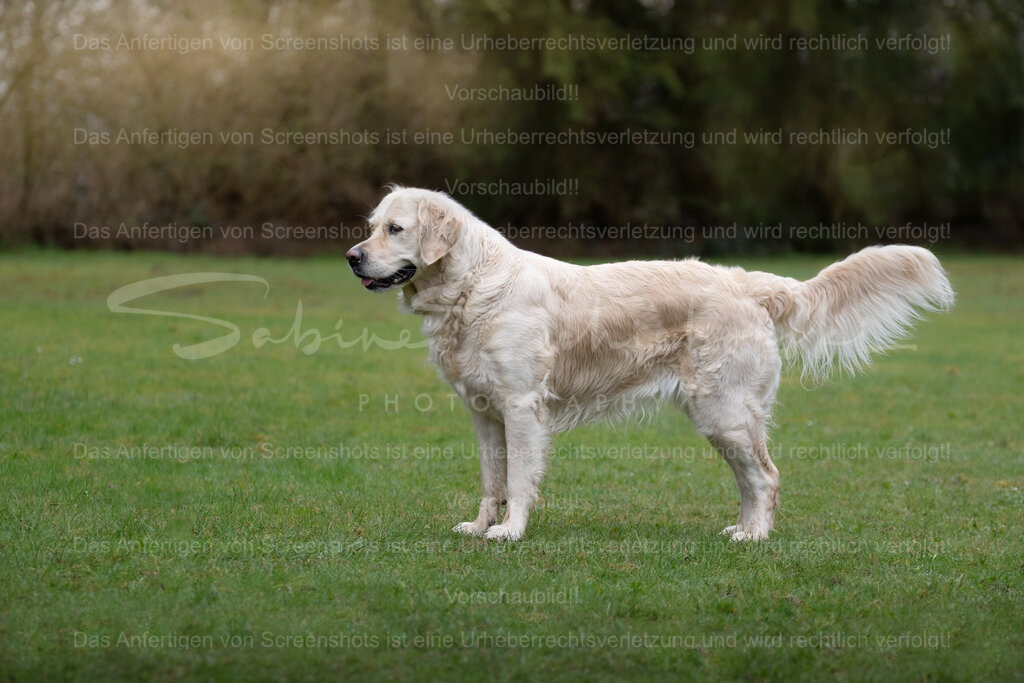 Claire_14.03.2026_DSCF6796 | People- und Tierfotografie, Imageaufnahmen, Veranstaltungsfotografie und Wandbilder aus der Natur ★ Made in Germany ✔️ Druck + Downloads ✔️ Naturfotografie in Top Qualität ★ schneller Versand, weltweite Lieferung! - Realisiert mit Pictrs.com