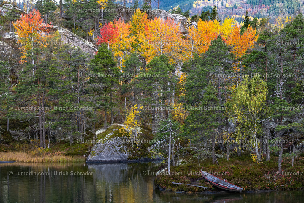 10047-10050 - Herbststimmung am See - Norwegen | Stockfoto und Bilderpool mit Bildmaterial aus Deutschland, dem Harz, Halberstadt, Quedlinburg, Wernigerode und weltweit. Qualitativ hochwertige und professionelle Fotos anschauen und kaufen. - Realisiert mit Pictrs.com