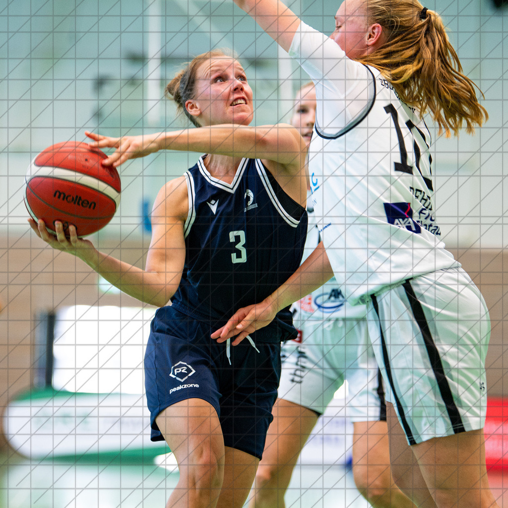 2. DBBL Nord 24/25 | 07.09.2024 | BBC Osnabrück vs. Eintracht Braunschweig | Testspiel | 2. DBBL Nord 24/25 | 07.09.2024 | BBC Osnabrück vs. Eintracht Braunschweig | Testspiel - - - - - NN - - - - - CREDIT, www.bullenfotos.de, Martin König, Hörner Weg 40, D-49078 Osnabrück, +4917663732967, Nutzung und Weitergabe nur zu den vereinbarten Zwecken. Presseanfragen an Urheber. Alle Rechte beim Urheber. - - - - - - Realisiert mit Pictrs.com