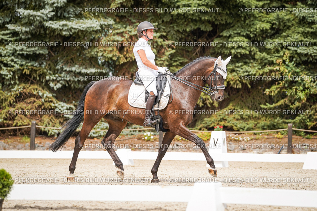 DSC06414 | Pferdegrafie