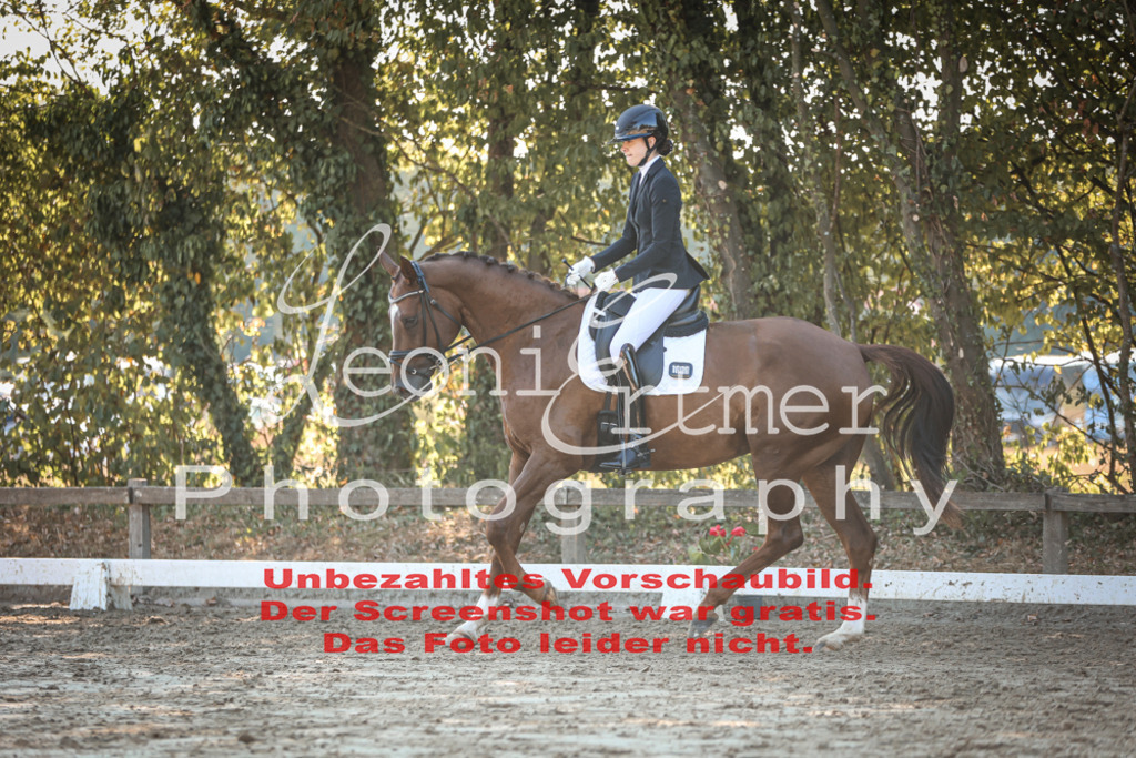 02.SaDrA00256 | Leoni Ertmer Photography - Realisiert mit Pictrs.com