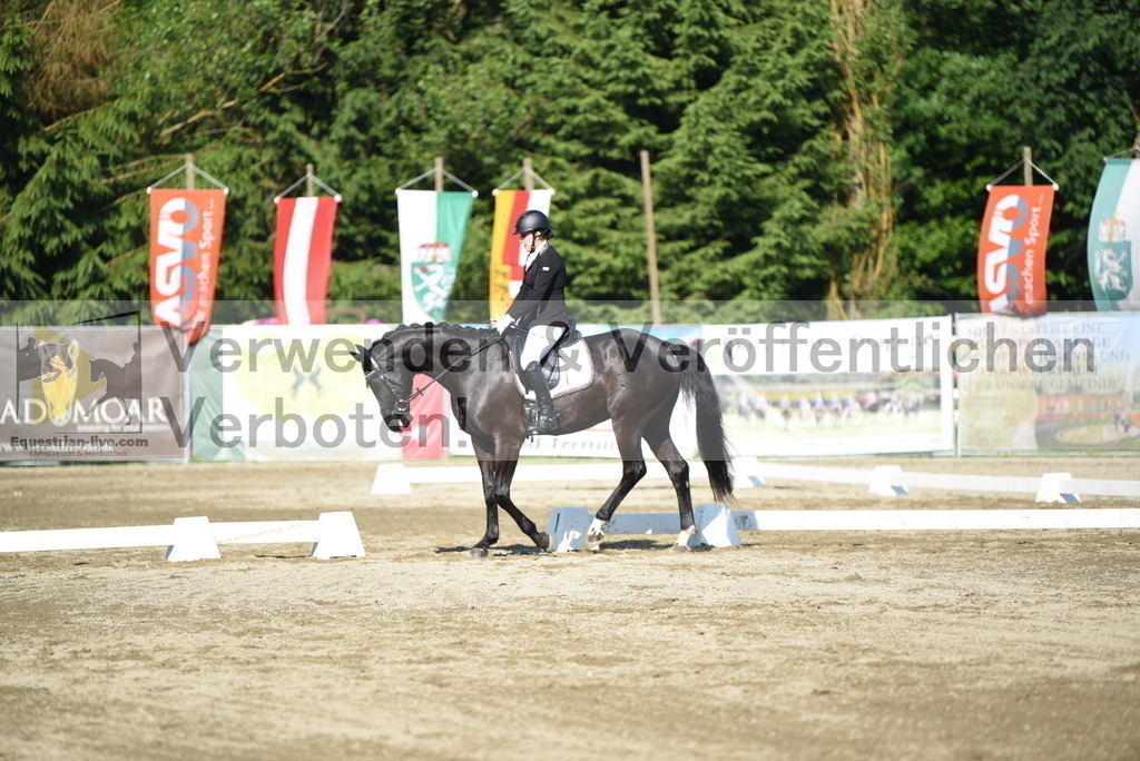 DSC_7118 | equestrian-live-com
