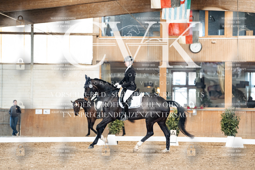 CK901183 | Turnierfotografie Pferdefotografie Trier Rheinland-Pfalz Pferdesport Reitsport Tierfotografie Sportfotografie Pferdevideo Pferdevideografie Equestrianvideography equestrianphotography  - Realized with Pictrs.com