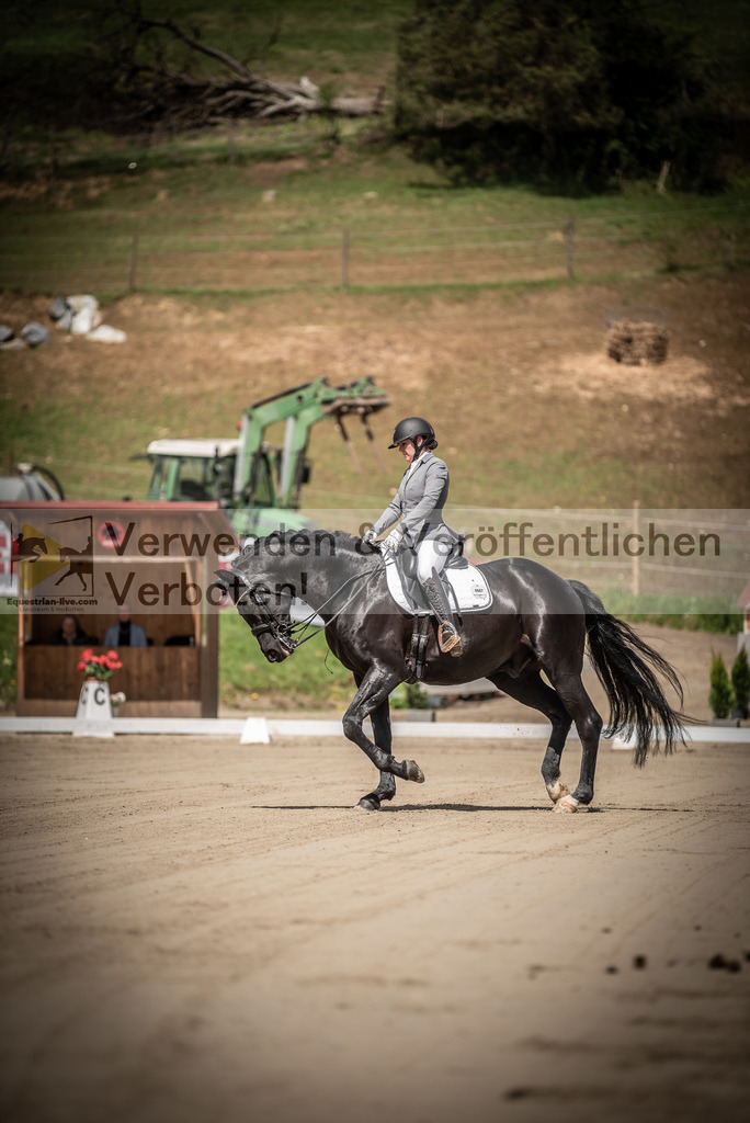 DSC_1352 | equestrian-live-com
