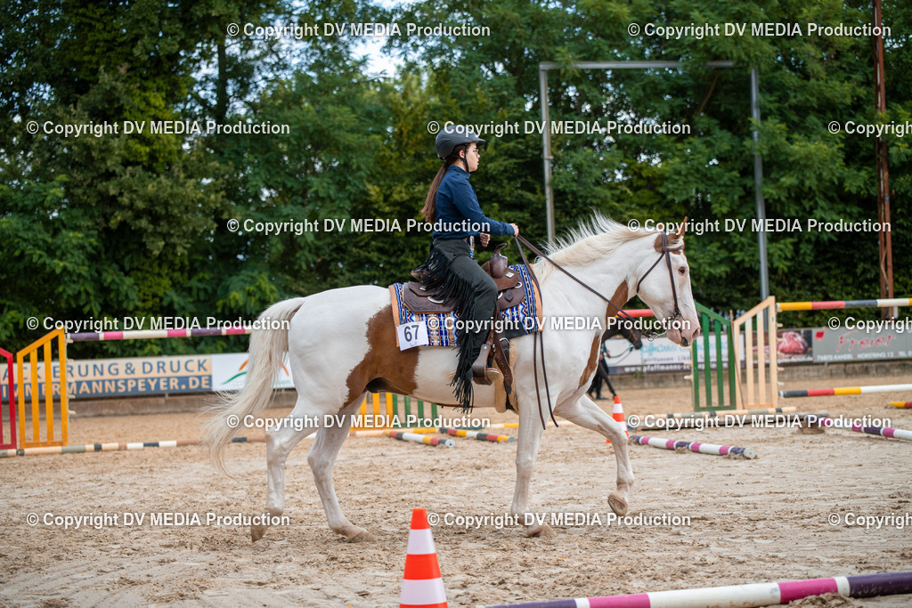 ZS3_9314 | dv-media-shop - Realisiert mit Pictrs.com