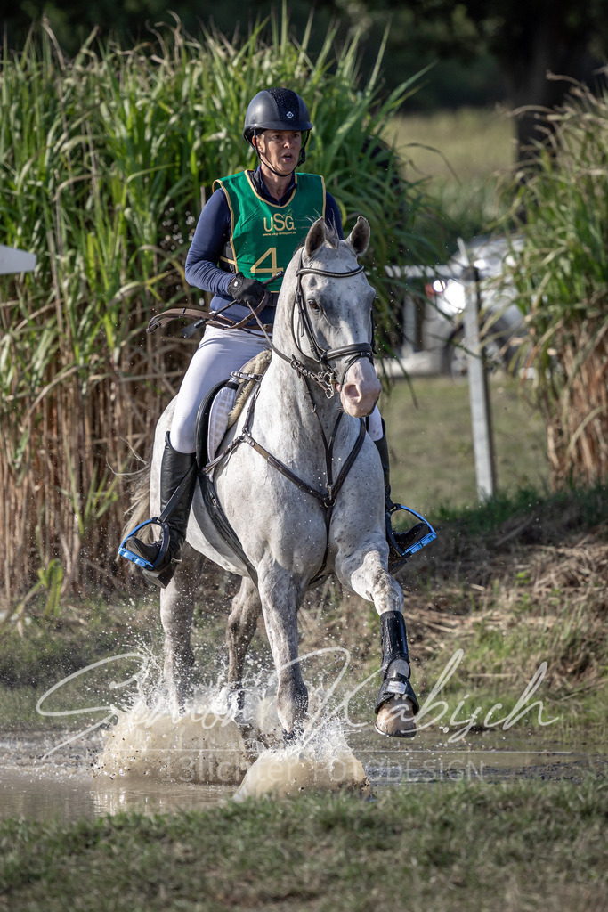20250907-_3LI4267 | Tierfotografie Pferde, Hunde, Katzen, Haustiere.
Turnierfotografie Reitturniere, Reiten, Springreiten, Dressur in Hanau, dem Main-Kinzig-Kreis und dem Rhein-Main- Gebiet um Frankfurt