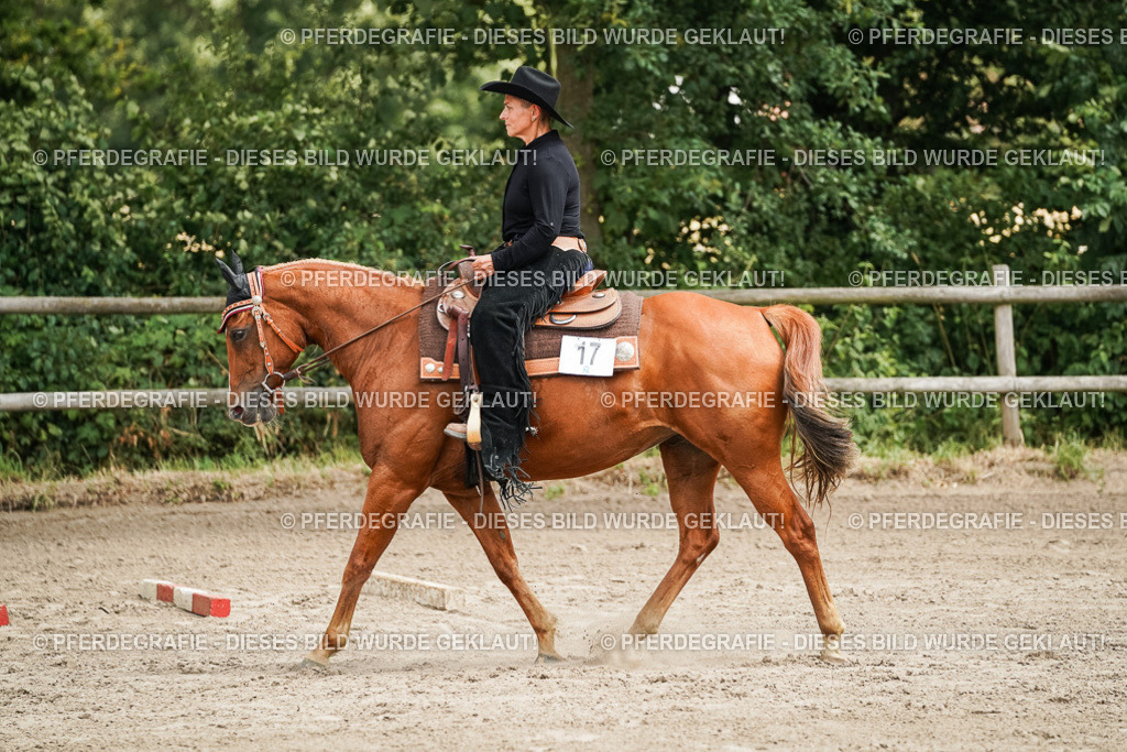 DSC08113 | Pferdegrafie