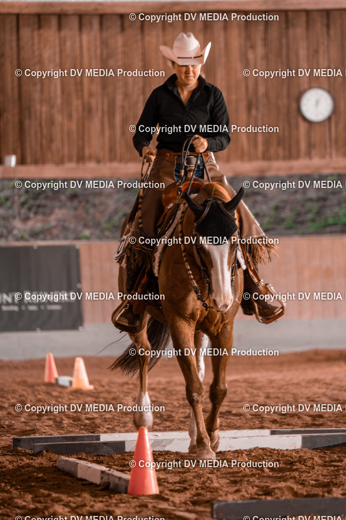 NE300139 | dv-media-shop - Realisiert mit Pictrs.com