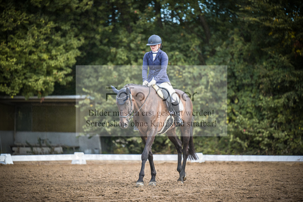 DOS_1779 | Entdecke hochwertige Reitturnierfotos von Foto Oger. Professionell, emotional und authentisch – jetzt Lieblingsmomente im Shop bestellen.Deutschlandweite Turnierfotografie. - Realisiert mit Pictrs.com