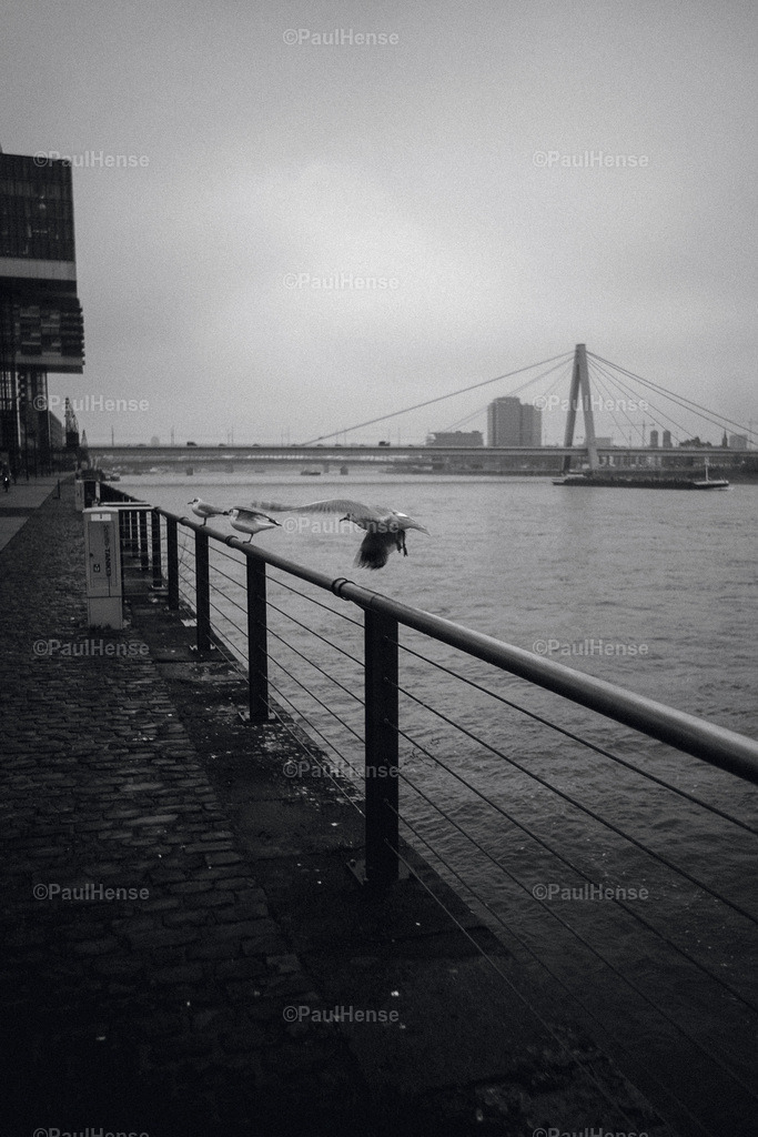 20230126_PaulHense_S0007_DSC03598 | paulhense - Realisiert mit Pictrs.com