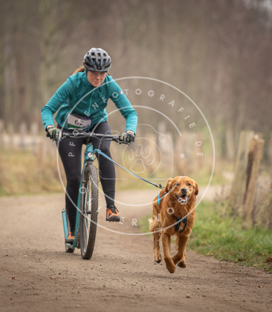 Pfotenfotografie_DV3A3251 | Hundefotografie, Tierfotograf, Pfotenfotografie, Fotoshooting Hund, Hunde Portrait, Hundesport, Hundeportraits, Heideshooting, Hunde, Sportfotograf, Hundefotograf, Turnierhundsport, THS,  - Realisiert mit Pictrs.com