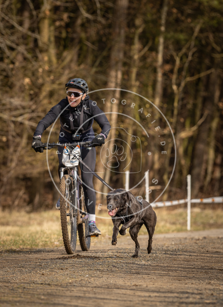 DV3A4438 | Hundefotografie, Tierfotograf, Pfotenfotografie, Fotoshooting Hund, Hunde Portrait, Hundesport, Hundeportraits, Heideshooting, Hunde, Sportfotograf, Hundefotograf, Turnierhundsport, THS,  - Realisiert mit Pictrs.com