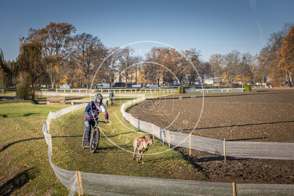 CaniXpix_DV3A1964 | Hundefotografie, Tierfotograf, Pfotenfotografie, Fotoshooting Hund, Hunde Portrait, Hundesport, Hundeportraits, Heideshooting, Hunde, Sportfotograf, Hundefotograf, Turnierhundsport, THS,  - Realisiert mit Pictrs.com