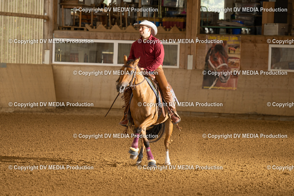 LAU01618 | dv-media-shop - Realisiert mit Pictrs.com