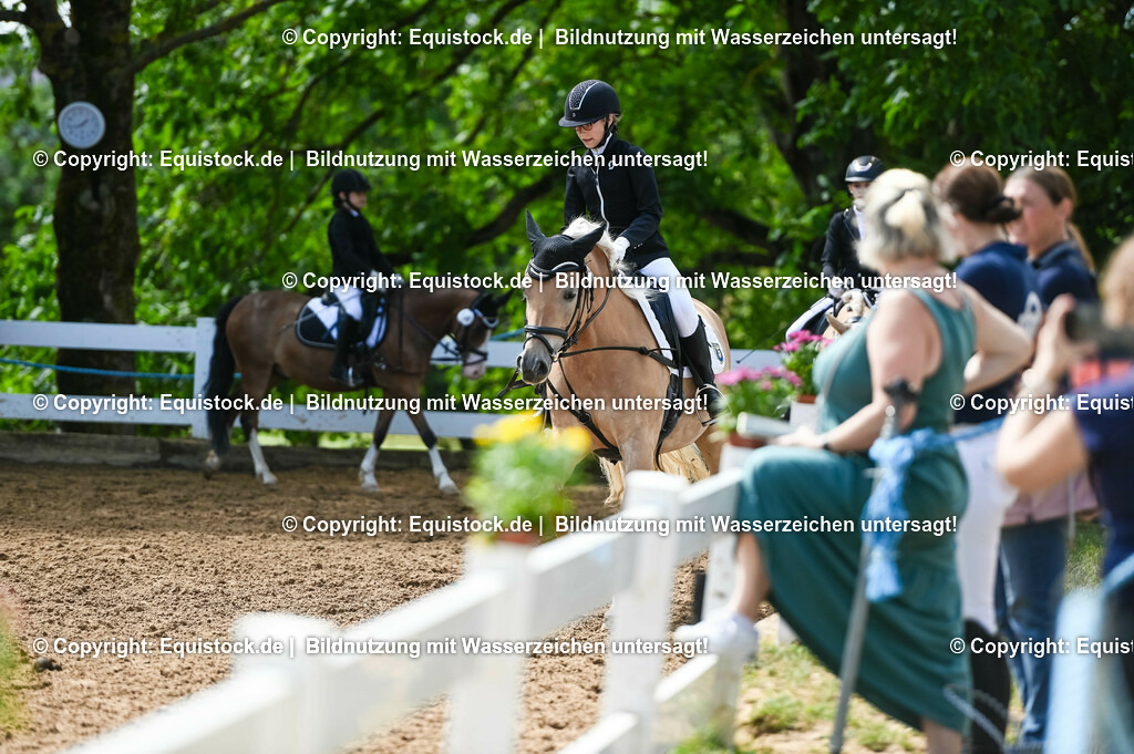 20230716_10-3_Reiter-WB Schritt - Trab - Galopp_0096 | equistock