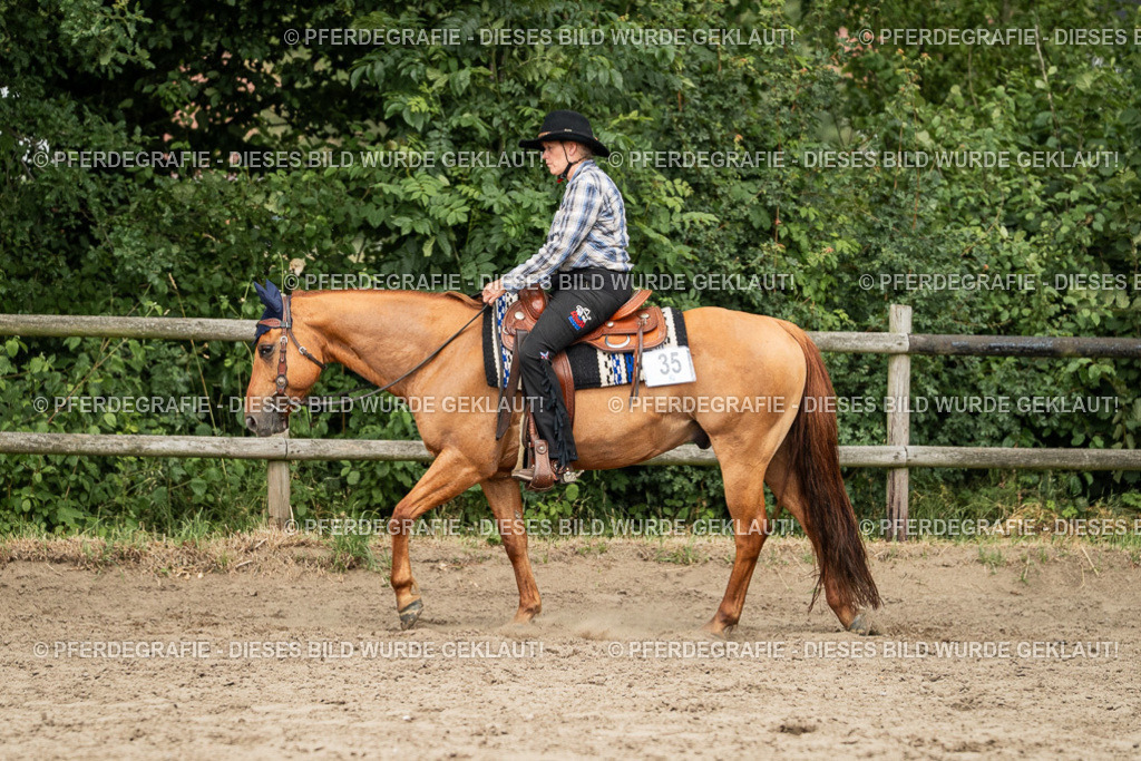 DSC03099 | Pferdegrafie