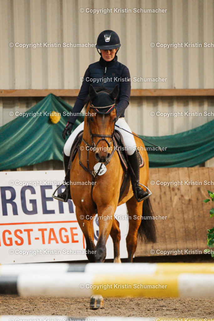 Springpferde A_-30 | Kristin Schumacher Photography