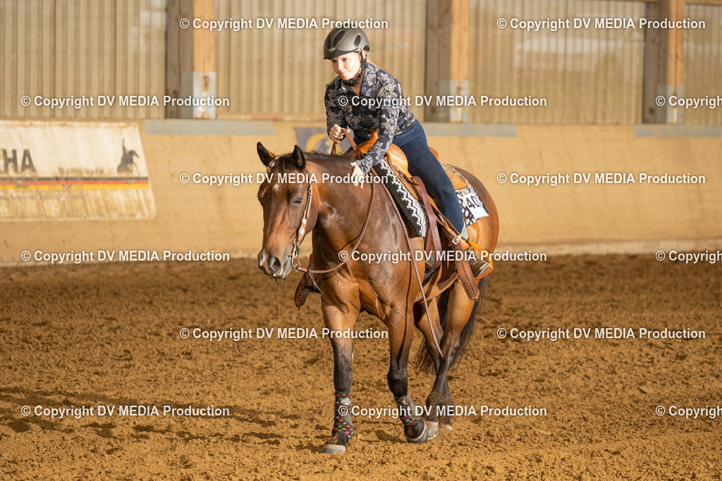 LAU00369 | dv-media-shop - Realisiert mit Pictrs.com