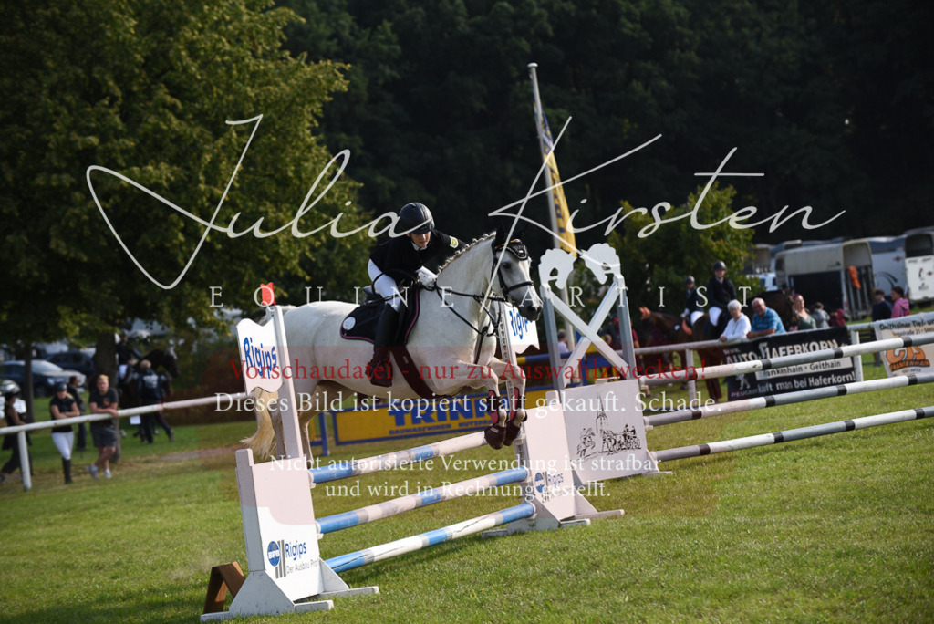 DSC_8646 | Pferde- und Turnierfotografie in Westsachsen. Pferdeportraits, Auftragszeichnungen und intuitive Kunst.