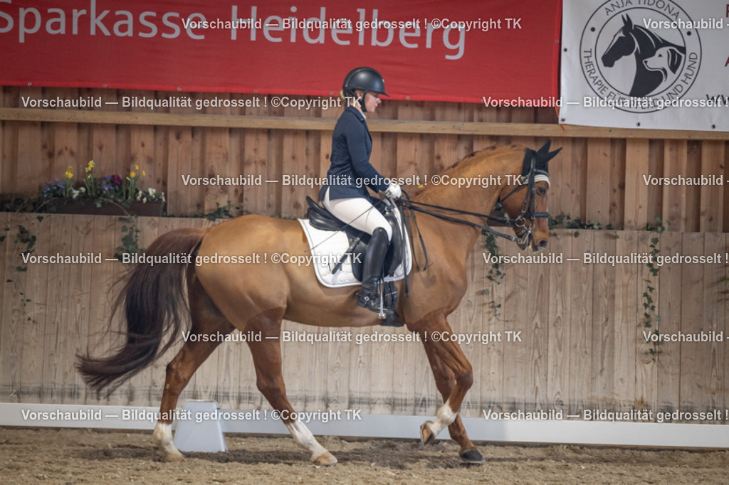 _D5A1634 | Emotionale Pferde- & People-Fotografie rund um Heidelberg, Leimen & Umgebung. Natürliche Fotos von Pferd, Mensch & Familie. Jetzt Termin sichern!