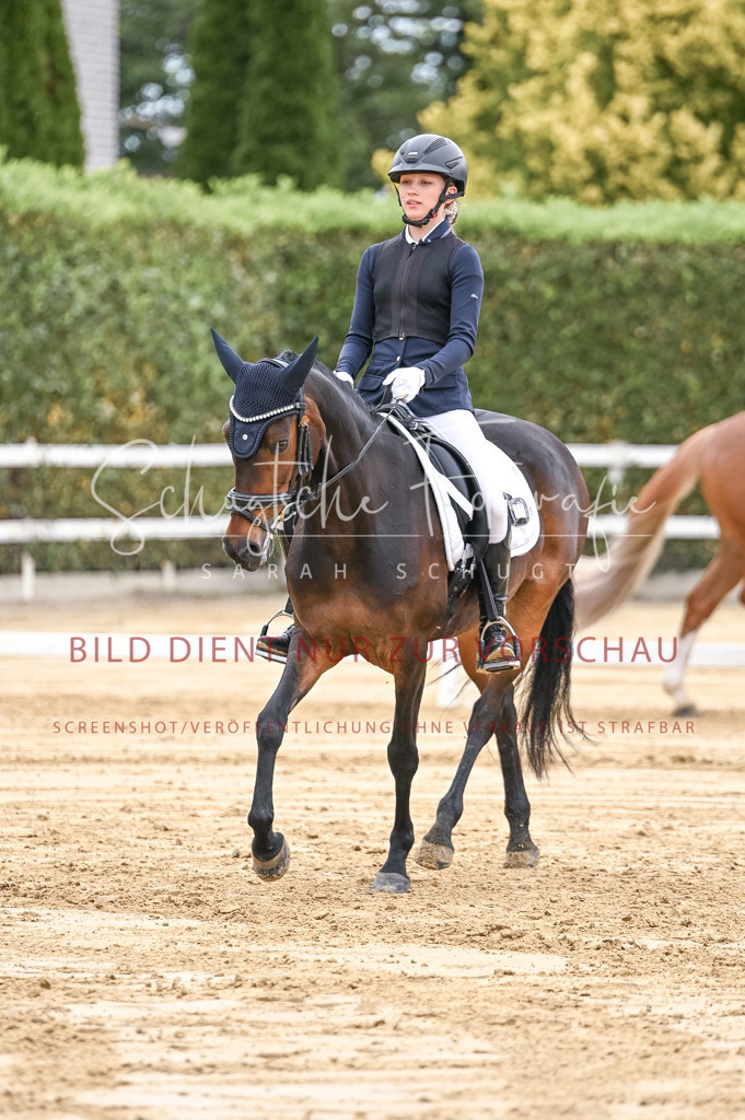 Schugtsche-Aluta25-42.EDressur -127 | Schugtsche Fotografie - Realisiert mit Pictrs.com