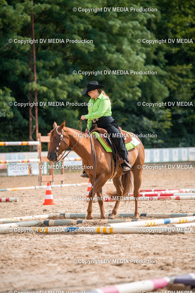 ZS2_7667 | dv-media-shop - Realisiert mit Pictrs.com