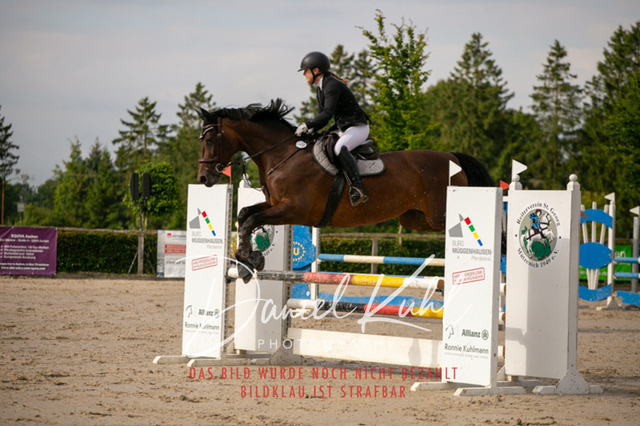 IMG_5259 | Turniersportfotografie; Pferdefotografie; Dressurfotografie