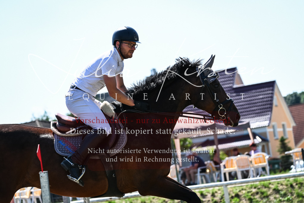 DSC_1663 | Pferde- und Turnierfotografie in Westsachsen. Pferdeportraits, Auftragszeichnungen und intuitive Kunst.