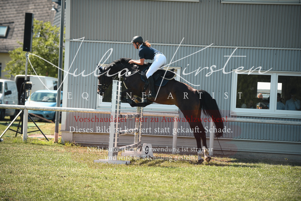 DSC_7019 | Pferde- und Turnierfotografie in Westsachsen. Pferdeportraits, Auftragszeichnungen und intuitive Kunst.