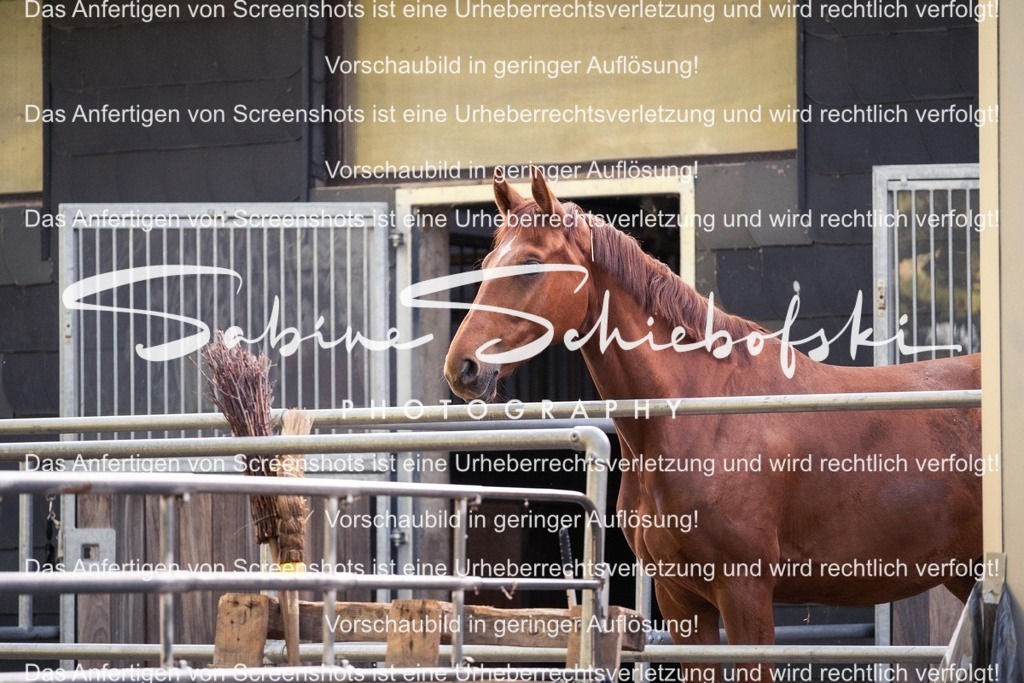 2025_05_31_DSCF2327 | People- und Tierfotografie, Imageaufnahmen, Veranstaltungsfotografie und Wandbilder aus der Natur ★ Made in Germany ✔️ Druck + Downloads ✔️ Naturfotografie in Top Qualität ★ schneller Versand, weltweite Lieferung! - Realisiert mit Pictrs.com