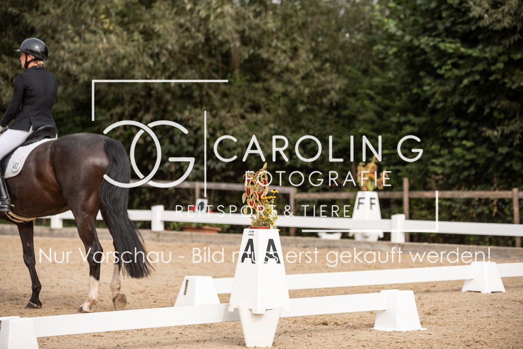 DSC_7953 | Turnierfotografin Carolin Gieschke, Turnierfotografie Carolin G Fotografie, Turnierfotos Kirchheim/Teck, Esslingen, Stuttgart, Bodenseekreis