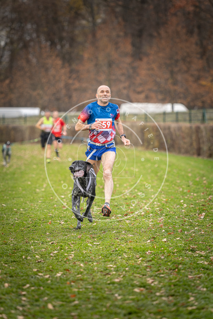 CaniXpix_DV3A6651 | Hundefotografie, Tierfotograf, Pfotenfotografie, Fotoshooting Hund, Hunde Portrait, Hundesport, Hundeportraits, Heideshooting, Hunde, Sportfotograf, Hundefotograf, Turnierhundsport, THS,  - Realisiert mit Pictrs.com