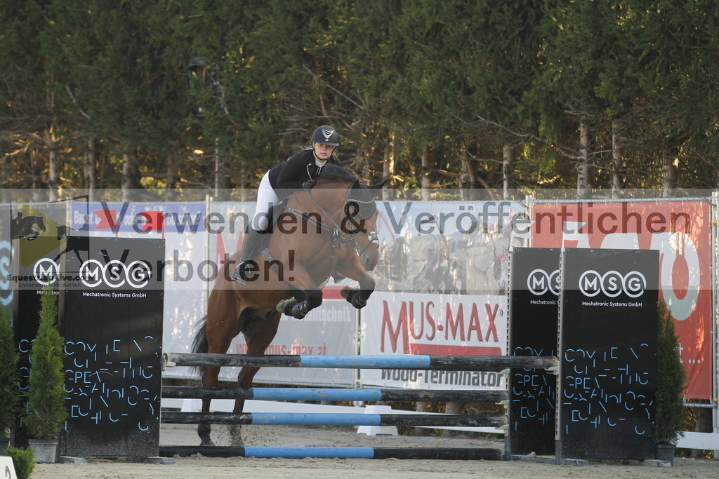 _MG_1001 | equestrian-live-com