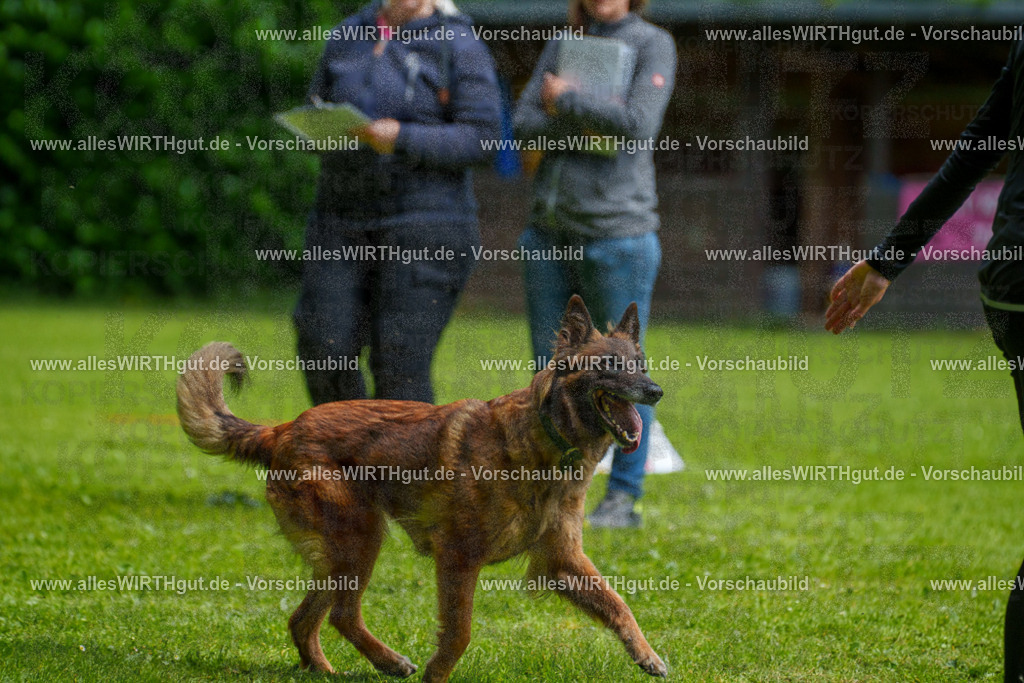 @allesWIRTHgut_Tierfotografie - www.allesWIRTHgut.de - 7R503754 | Professionelle Tierfotografie in Mönchengladbach von Daniel Wirth (allesWIRTHgut). Liebevolle & natürliche Bilder von Hunden & Katzen für unvergessliche Erinnerungen.