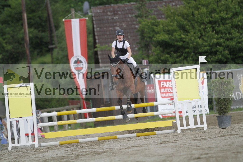 _MG_6486 | equestrian-live-com