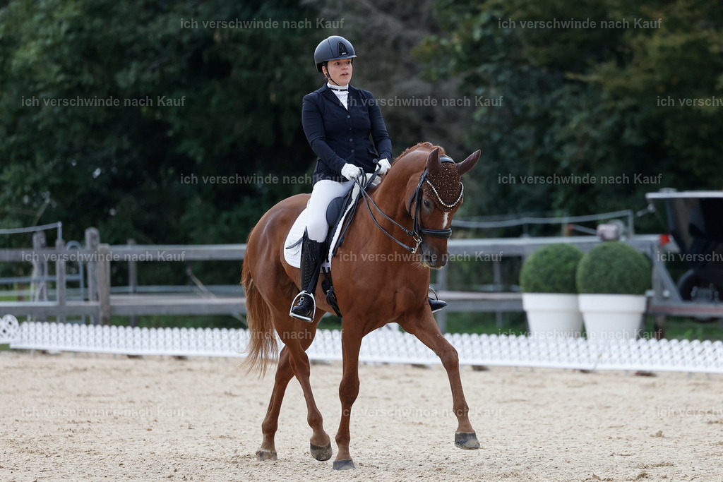 3-111-Dressur M_-StoibPH-2293 | working equitationturnier fotograf videograf stoibphotography marixx film working equitation deutschland reitsport turnierfotografie eventfotografie equestrian events