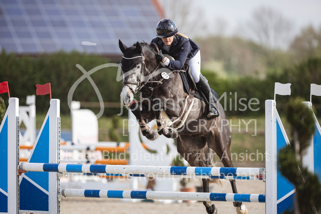 250419_Frühlingsfest_Springpf-L-313 | Deine schönsten Turniermomente als professionelle Fotos! Entdecke hochwertige Pferdesport-Fotografie im Online-Shop. Jetzt Fotos finden & bestellen!