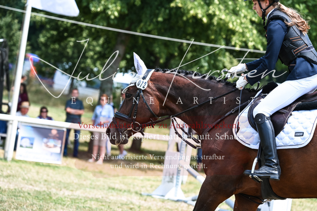 DSC_9599 | Pferde- und Turnierfotografie in Westsachsen. Pferdeportraits, Auftragszeichnungen und intuitive Kunst.
