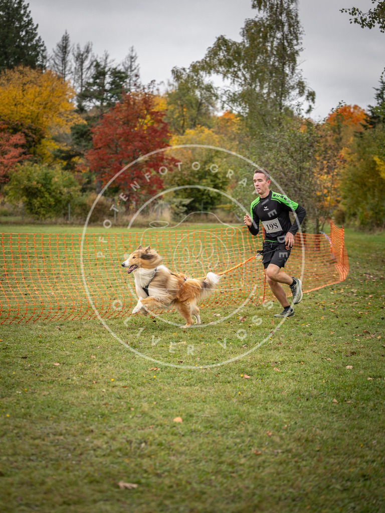 Pfotenfotografie_DV3A3846 | Hundefotografie, Tierfotograf, Pfotenfotografie, Fotoshooting Hund, Hunde Portrait, Hundesport, Hundeportraits, Heideshooting, Hunde, Sportfotograf, Hundefotograf, Turnierhundsport, THS,  - Realisiert mit Pictrs.com