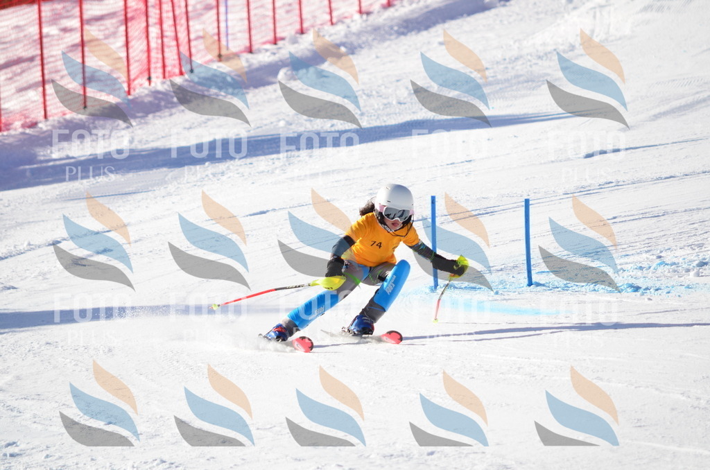 C5909 | holidayphoto