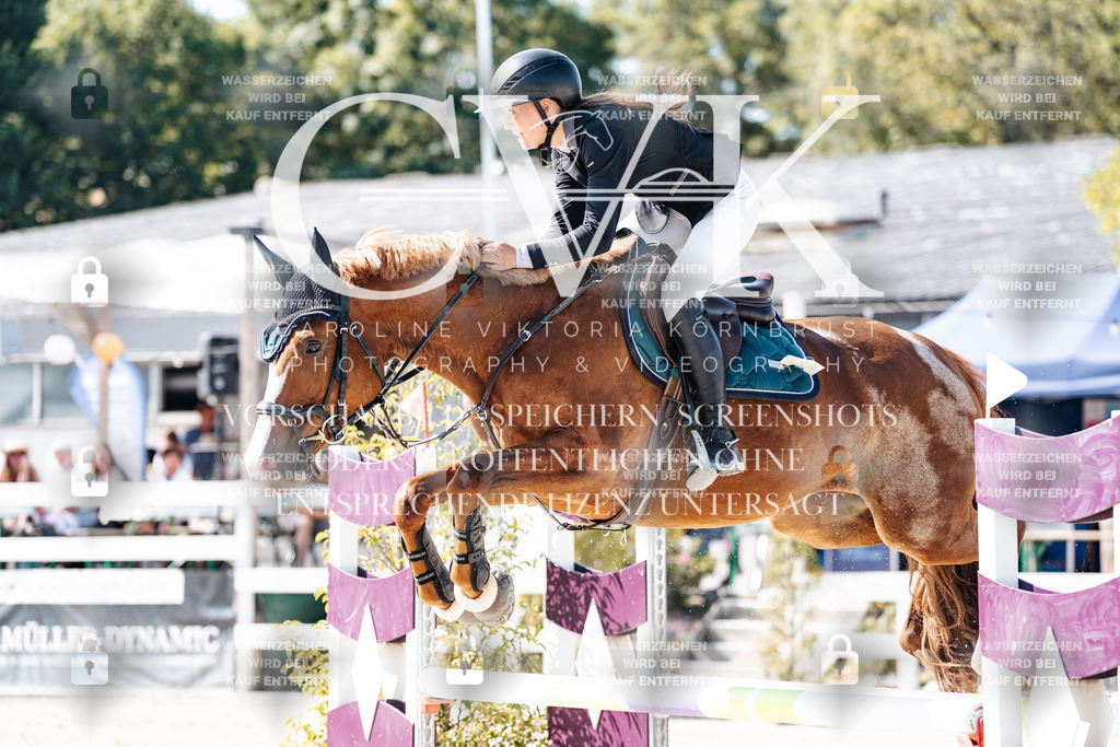 CK908252 | Turnierfotografie Pferdefotografie Trier Rheinland-Pfalz Pferdesport Reitsport Tierfotografie Sportfotografie Pferdevideo Pferdevideografie Equestrianvideography equestrianphotography  - Realisiert mit Pictrs.com