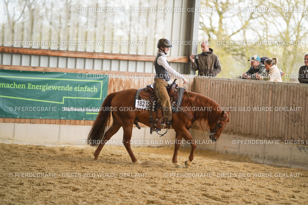 DSC08838 | Pferdegrafie