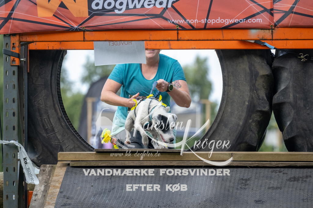 1555_ZZ94912 | kk-dogfotos
