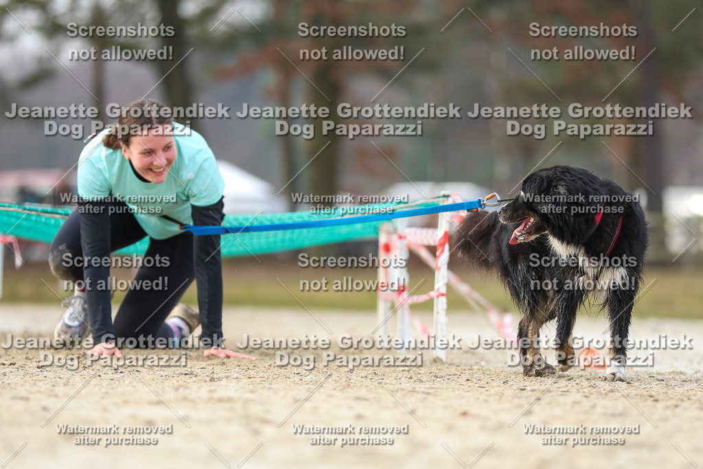 Dog Paparazzi - Strongdog North Mrz26-4370 | Dog Paparazzi Jeanette Grottendiek Fotografie & Videografie - Realisiert mit Pictrs.com