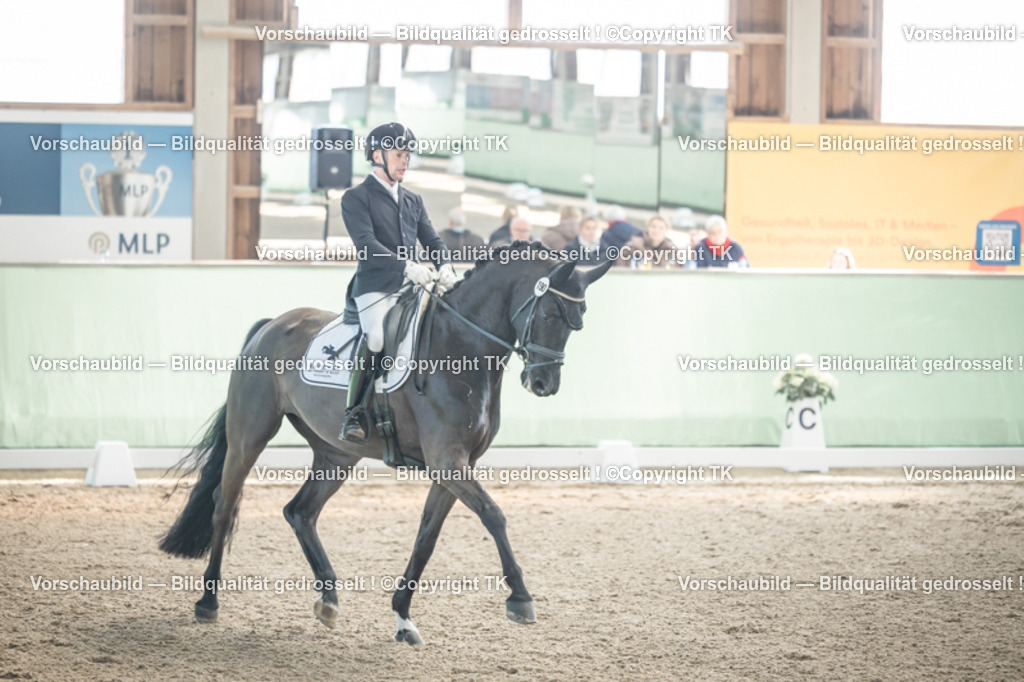 _D5A0891 | Emotionale Pferde- & People-Fotografie rund um Heidelberg, Leimen & Umgebung. Natürliche Fotos von Pferd, Mensch & Familie. Jetzt Termin sichern!