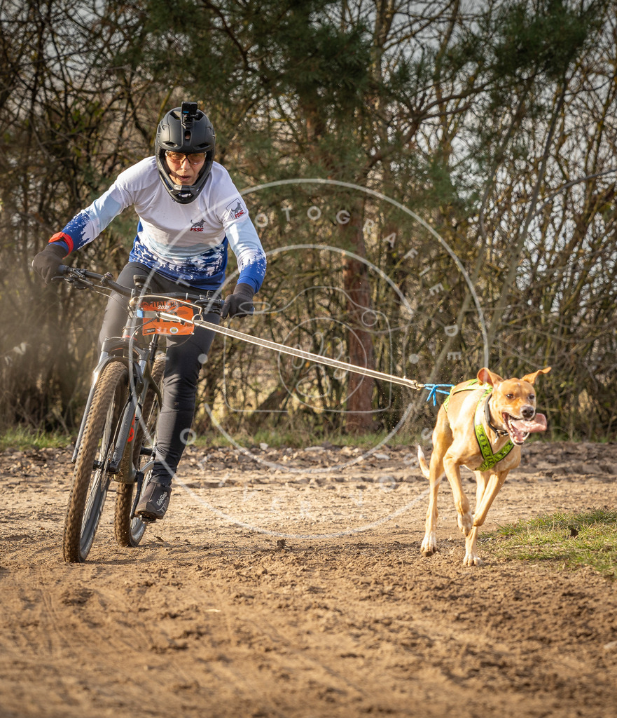 Pfotenfotografie_DV3A8700 | Hundefotografie, Tierfotograf, Pfotenfotografie, Fotoshooting Hund, Hunde Portrait, Hundesport, Hundeportraits, Heideshooting, Hunde, Sportfotograf, Hundefotograf, Turnierhundsport, THS,  - Realisiert mit Pictrs.com