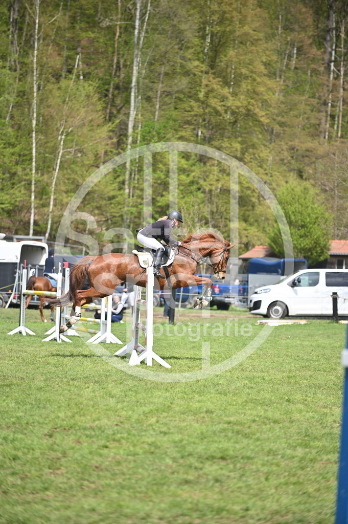 DSC_2544 | sattelsport - Realisiert mit Pictrs.com