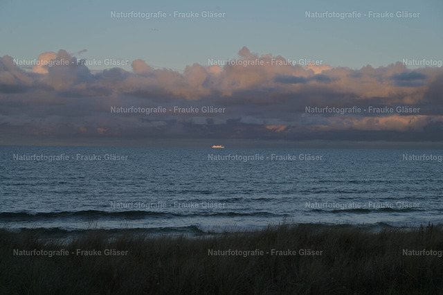 Abendlicht | Naturfotografie Frauke Gläser - Realisiert mit Pictrs.com