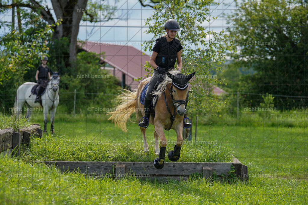 20240622-FAH08017 | Turnierfotografen Bayern, Reitsportbilder aus dem Geländekurs mit Felix Etzel auf dem Gut Waitzacker 2024