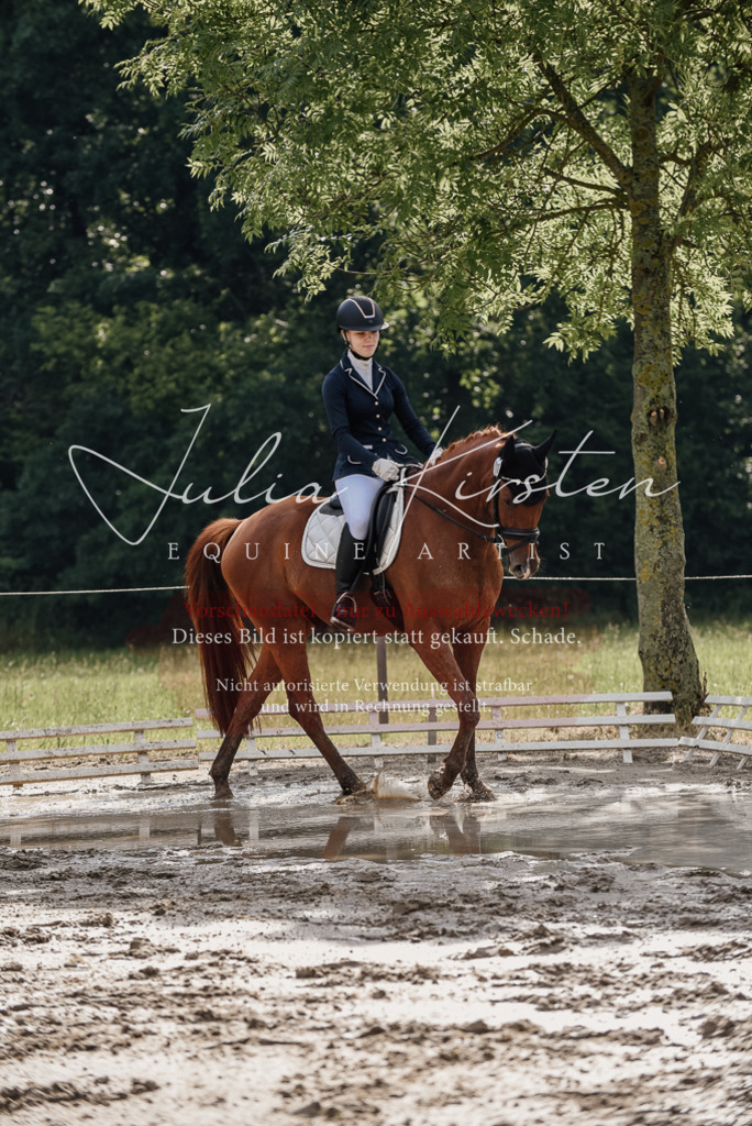 DSC_8864 | Pferde- und Turnierfotografie in Westsachsen. Pferdeportraits, Auftragszeichnungen und intuitive Kunst.